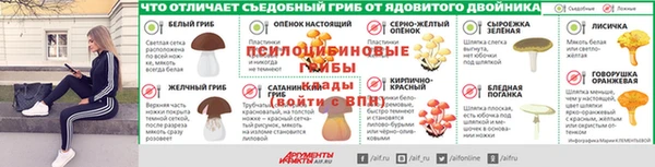 МДПВ Навашино