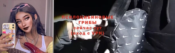 МДПВ Навашино