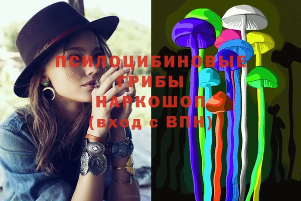 молекула духа Наволоки