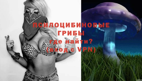 МДПВ Навашино