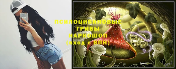 прущий лед Михайлов