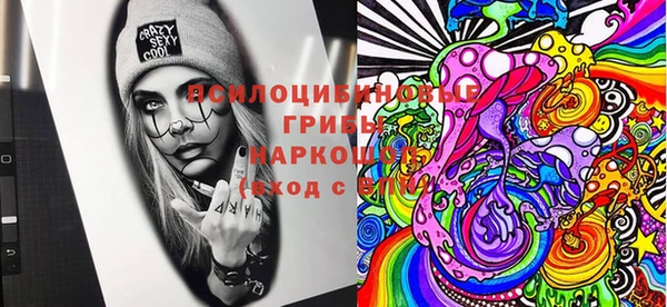 бошки Надым
