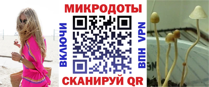 ссылка на мегу ССЫЛКА как найти закладки Кущёвская Псилоцибиновые грибы GOLDEN TEACHER